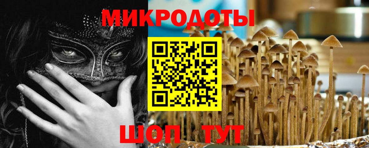 Галлюциногенные грибы Psilocybine cubensis  Вход с VPN  Мирный 